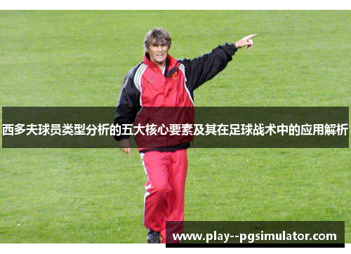 西多夫球员类型分析的五大核心要素及其在足球战术中的应用解析 西多夫球员类型分析的五大核心要素及其在足球战术中的应用解析