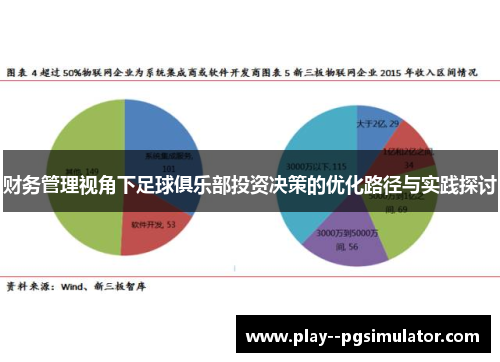 财务管理视角下足球俱乐部投资决策的优化路径与实践探讨 财务管理视角下足球俱乐部投资决策的优化路径与实践探讨