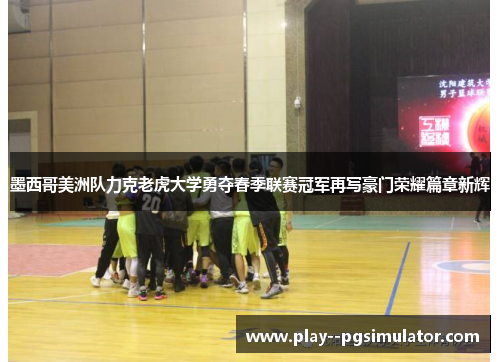 墨西哥美洲队力克老虎大学勇夺春季联赛冠军再写豪门荣耀篇章新辉 墨西哥美洲队力克老虎大学勇夺春季联赛冠军再写豪门荣耀篇章新辉