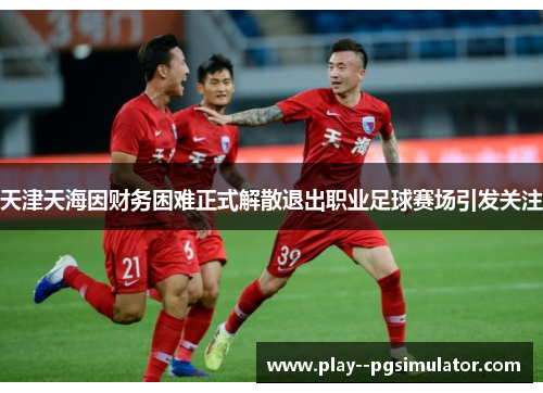 天津天海因财务困难正式解散退出职业足球赛场引发关注 天津天海因财务困难正式解散退出职业足球赛场引发关注