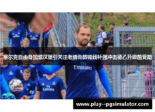 塞尔克自由身加盟汉堡引关注老牌劲旅锋线补强冲击德乙升级前受期 塞尔克自由身加盟汉堡引关注老牌劲旅锋线补强冲击德乙升级前受期