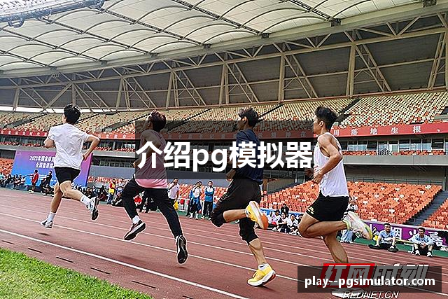 介绍pg模拟器